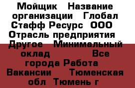 Мойщик › Название организации ­ Глобал Стафф Ресурс, ООО › Отрасль предприятия ­ Другое › Минимальный оклад ­ 30 000 - Все города Работа » Вакансии   . Тюменская обл.,Тюмень г.